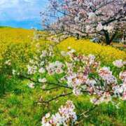 ヒメ日記 2025/04/30 17:42 投稿 蓮香 BBW（ビッグビューティフルウーマン）