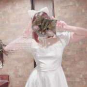 ヒメ日記 2025/02/24 18:25 投稿 りり♡極上SPコース♡ PANTHER（パンサー）