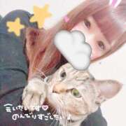 ヒメ日記 2025/02/25 09:05 投稿 りり♡極上SPコース♡ PANTHER（パンサー）