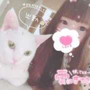 ヒメ日記 2025/02/28 09:05 投稿 りり♡極上SPコース♡ PANTHER（パンサー）