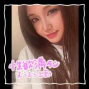 ヒメ日記 2025/04/29 10:04 投稿 あんな 和楽(わらく)