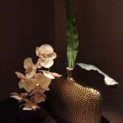 ヒメ日記 2024/12/20 13:27 投稿 瀬名　麻衣子 東京ローズマリー