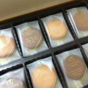 ヒメ日記 2024/12/30 11:27 投稿 瀬名　麻衣子 東京ローズマリー