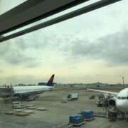 ヒメ日記 2025/04/15 12:47 投稿 瀬名　麻衣子 東京ローズマリー