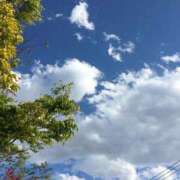 ヒメ日記 2025/04/17 09:27 投稿 瀬名　麻衣子 東京ローズマリー