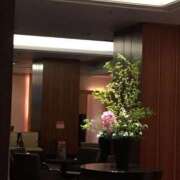 ヒメ日記 2025/05/20 09:47 投稿 瀬名　麻衣子 東京ローズマリー