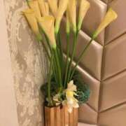 ヒメ日記 2025/05/22 22:37 投稿 瀬名　麻衣子 東京ローズマリー