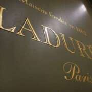 ヒメ日記 2025/07/24 18:47 投稿 瀬名　麻衣子 東京ローズマリー