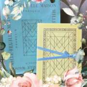 ヒメ日記 2025/07/26 13:37 投稿 瀬名　麻衣子 東京ローズマリー