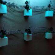 ヒメ日記 2025/09/03 21:27 投稿 瀬名　麻衣子 東京ローズマリー