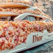 ヒメ日記 2025/11/01 17:57 投稿 瀬名　麻衣子 東京ローズマリー