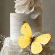 瀬名　麻衣子 おはようございます🌸 東京ローズマリー