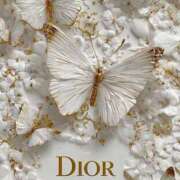 ヒメ日記 2025/12/27 08:57 投稿 瀬名　麻衣子 東京ローズマリー