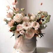 ヒメ日記 2025/12/31 01:47 投稿 瀬名　麻衣子 東京ローズマリー