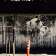 ヒメ日記 2026/02/19 09:17 投稿 瀬名　麻衣子 東京ローズマリー