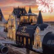 瀬名　麻衣子 明日は☘️ 東京ローズマリー