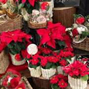 ヒメ日記 2025/12/25 19:28 投稿 みなみさん いけない奥さん 十三店