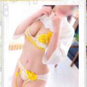 ヒメ日記 2025/03/31 11:58 投稿 みなみさん いけない奥さん 梅田店