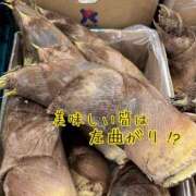 ヒメ日記 2025/04/21 10:49 投稿 みなみさん いけない奥さん 梅田店