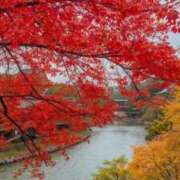 ヒメ日記 2025/11/09 21:49 投稿 みなみさん いけない奥さん 梅田店