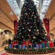 ヒメ日記 2025/11/21 10:00 投稿 みなみさん いけない奥さん 梅田店