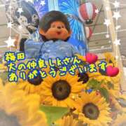 ヒメ日記 2026/08/04 12:29 投稿 みなみさん いけない奥さん 梅田店