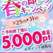 ヒメ日記 2024/03/25 10:25 投稿 しょうこ 即トク奥さん