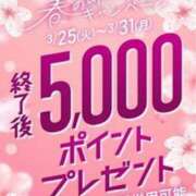 ヒメ日記 2025/03/27 00:01 投稿 しょうこ 即トク奥さん