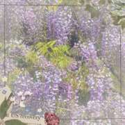 ヒメ日記 2025/05/10 11:50 投稿 しょうこ 即トク奥さん