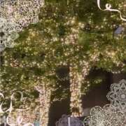 ヒメ日記 2025/05/18 23:20 投稿 しょうこ 即トク奥さん