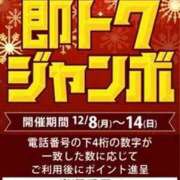 ヒメ日記 2025/12/11 11:50 投稿 しょうこ 即トク奥さん