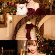 ヒメ日記 2025/12/23 14:49 投稿 るい ニューグランド