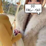 ヒメ日記 2026/02/06 16:33 投稿 るい ニューグランド