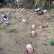 ヒメ日記 2026/02/11 19:06 投稿 るい ニューグランド