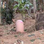 ヒメ日記 2026/02/12 17:03 投稿 るい ニューグランド