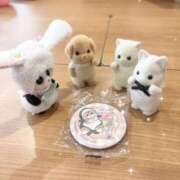 ヒメ日記 2026/03/20 15:43 投稿 るい ニューグランド
