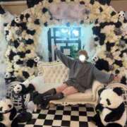 ヒメ日記 2026/03/26 15:11 投稿 るい ニューグランド