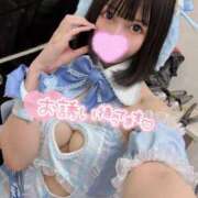 ヒメ日記 2025/03/13 20:54 投稿 うさぎ チューリップ福井別館