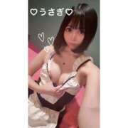 ヒメ日記 2025/03/16 08:53 投稿 うさぎ チューリップ福井別館