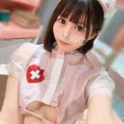 ヒメ日記 2025/03/17 10:24 投稿 うさぎ チューリップ福井別館