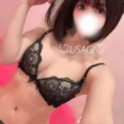 ヒメ日記 2025/05/07 12:26 投稿 うさぎ チューリップ福井別館