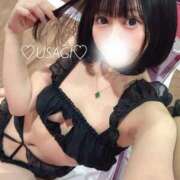 ヒメ日記 2025/05/09 12:25 投稿 うさぎ チューリップ福井別館