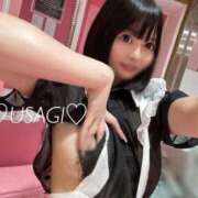 ヒメ日記 2025/05/11 20:25 投稿 うさぎ チューリップ福井別館