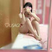 ヒメ日記 2025/07/09 13:04 投稿 うさぎ チューリップ福井別館