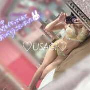 ヒメ日記 2025/07/11 10:54 投稿 うさぎ チューリップ福井別館