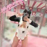 ヒメ日記 2025/07/14 12:52 投稿 うさぎ チューリップ福井別館