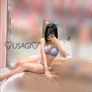 ヒメ日記 2025/08/13 09:35 投稿 うさぎ チューリップ福井別館