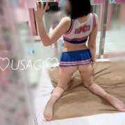 ヒメ日記 2025/08/13 23:34 投稿 うさぎ チューリップ福井別館