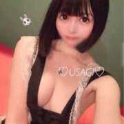 ヒメ日記 2025/08/15 19:54 投稿 うさぎ チューリップ福井別館