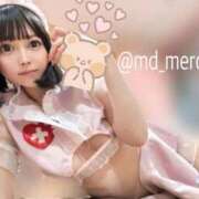 ヒメ日記 2025/10/13 22:54 投稿 うさぎ チューリップ福井別館